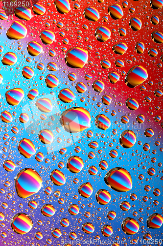 Image of Colorful water drops