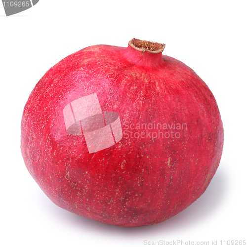 Image of Pomegranate