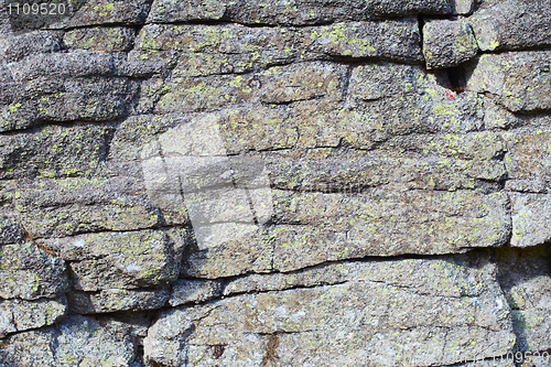 Image of Rock covered with lichen