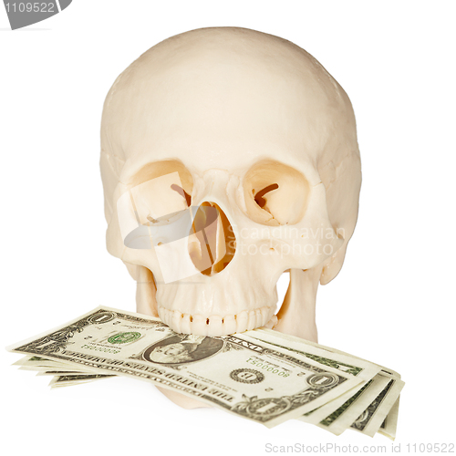 Image of Skull devours money, isolated on white