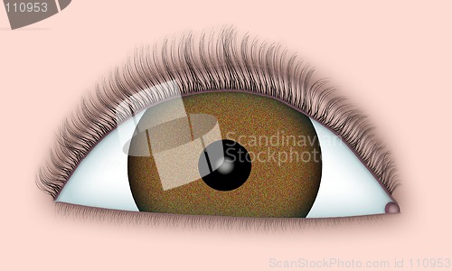 Image of Brown Eye