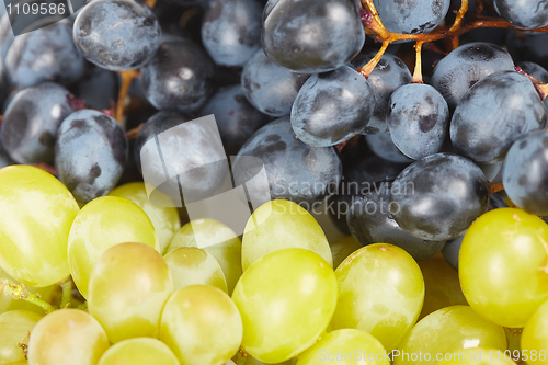 Image of Grapes are two different kinds