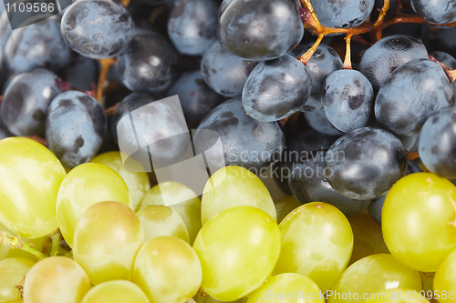 Image of Grapes are two different kinds