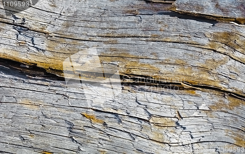 Image of Rotten wood with crack