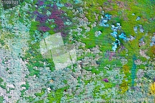 Image of Uneven mangy old wall with green paint