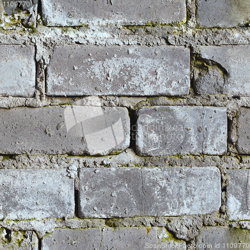 Image of Seamless background - dirty moldy brick wall