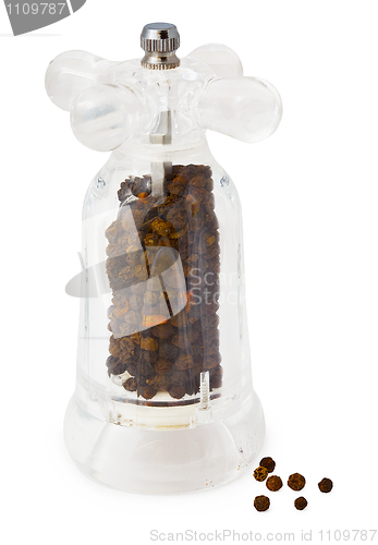 Image of Transparent pepper mill