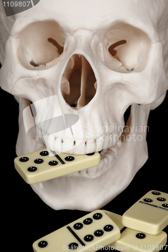 Image of Skull clutched in teeth dominoes