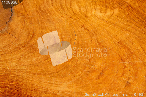 Image of Wood texture