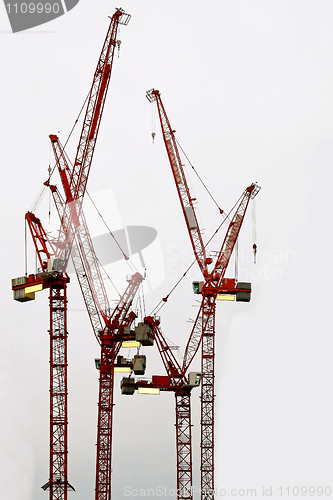 Image of Cranes