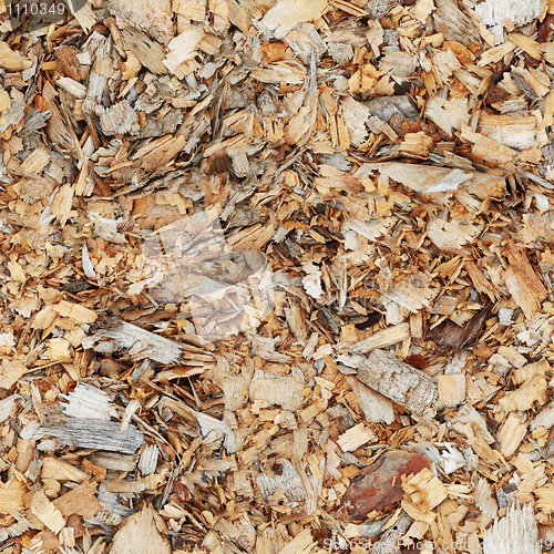 Image of Wood shavings - seamless texture