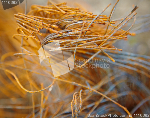 Image of Rusty steel cord - waste to landfill