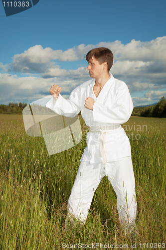 Image of Man in kimono standing in grass