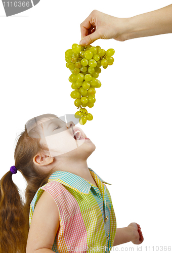 Image of Cheerful child eats grapes from parental hands