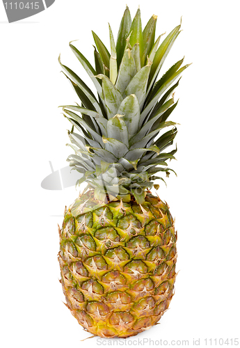 Image of Pineapple