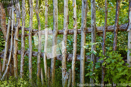 Image of Old primitive village fence