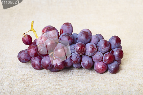 Image of Bunch of red grapes on surface of canvas