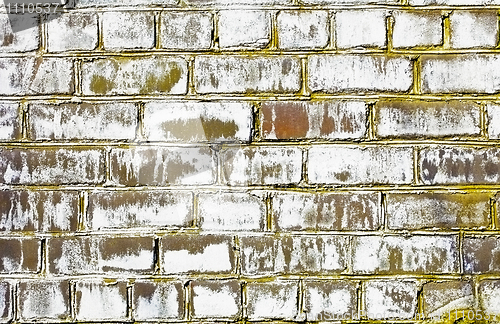 Image of Brick wall struck by a fungus