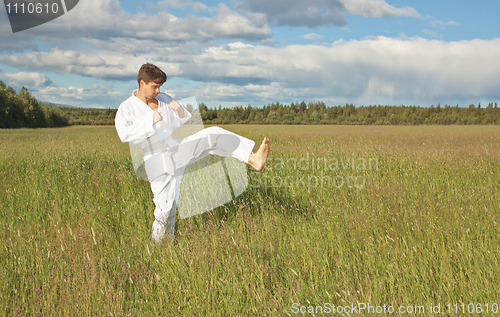 Image of Karateka a kick