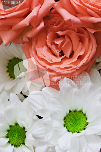 Image of Flowers - chrysanthemums and roses