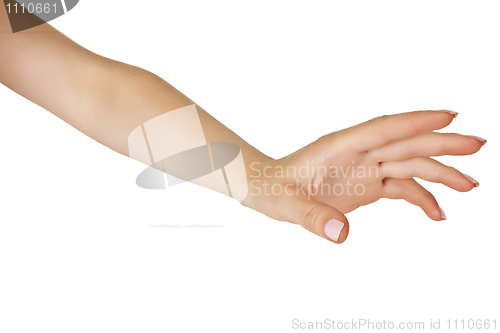Image of Female hand stretched horizontally