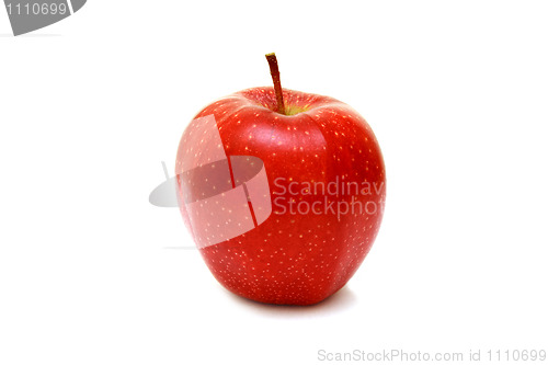 Image of Fresh red apple isolated