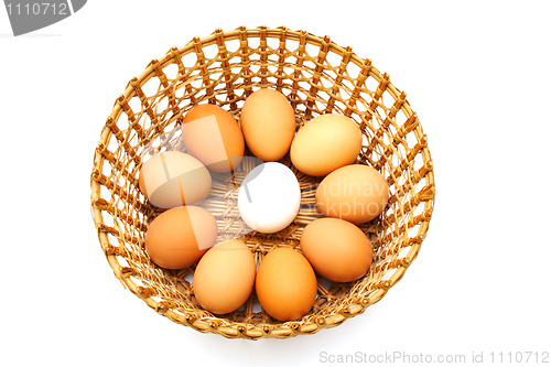 Image of Eggs in the basket