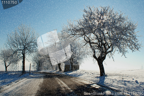Image of winter scene with snow, sun and blue sky
