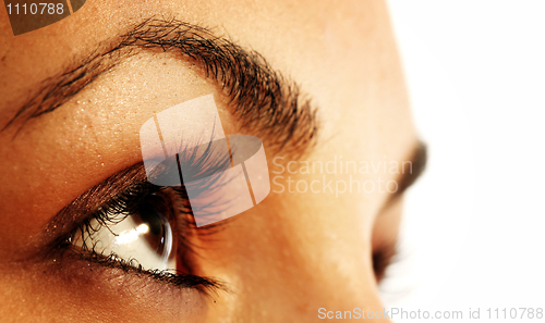 Image of Brown eye