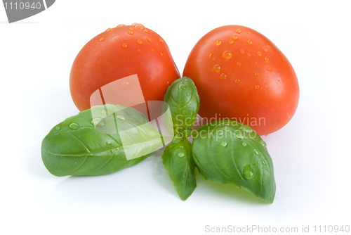 Image of basil tomatoes