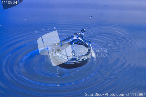 Image of Splash