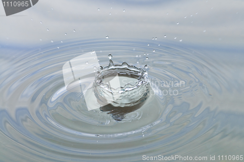 Image of Splash