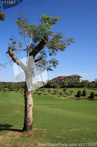 Image of Golf field