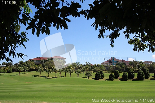 Image of Golf Field