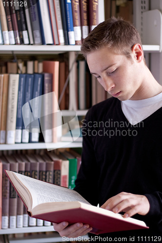 Image of Reading at the Library