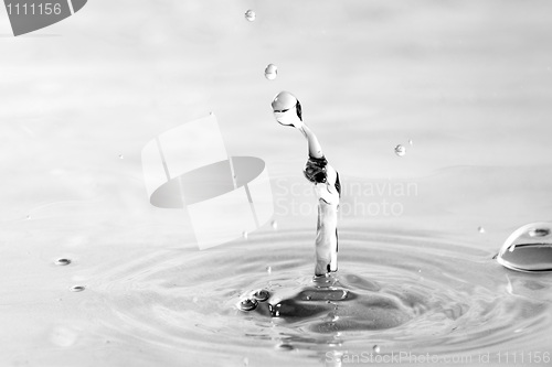 Image of Clear Water Droplets Splash