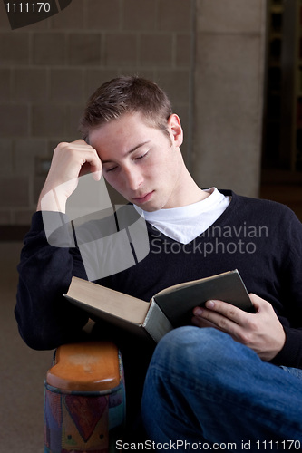 Image of Reading at the Library