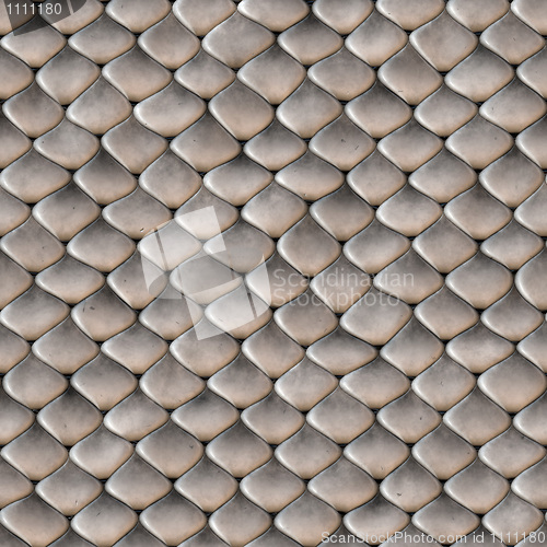 Image of Snake Skin Scales Seamless Texture