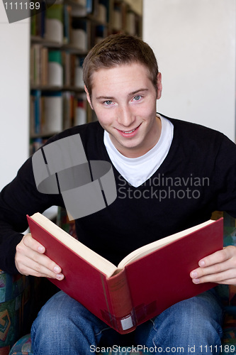 Image of Reading at the Library