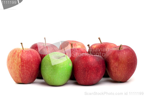 Image of Individuality In Apples