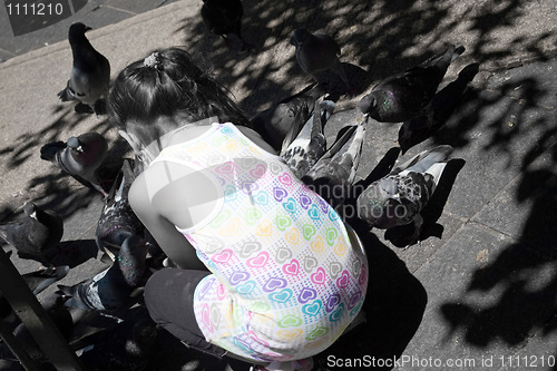 Image of Girl Feeding Pigeons In The Park