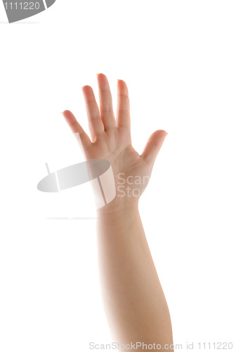 Image of Human Hand Waving Isolated