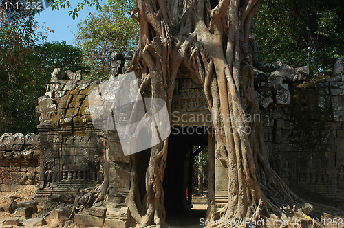 Image of Angkor Cambodia