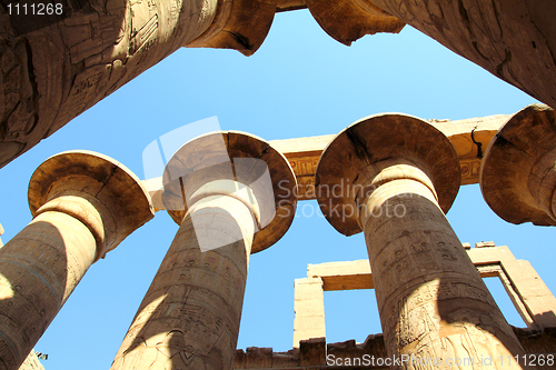 Image of columns in karnak temple