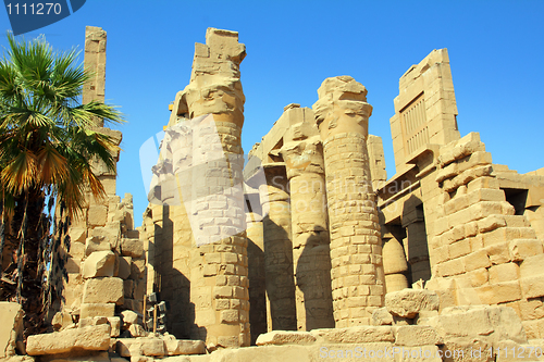 Image of columns in karnak temple