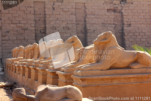 Image of egypt statues of sphinx in karnak temple