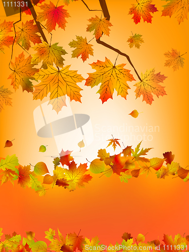 Image of Autumn card of colored leafs. EPS 8