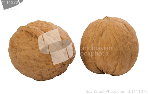 Image of  two whole walnuts