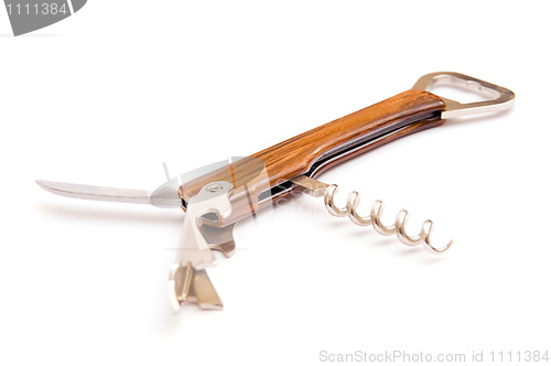 Image of Brown corkscrew 