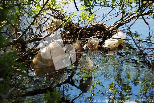 Image of trash in the river